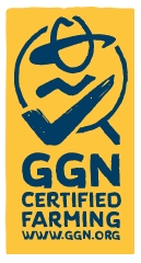 Ggn Logo